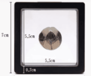 Floating Frame And Circular Base 3D Display Jewelry Case Box Suspension Storage PE Film Organizer